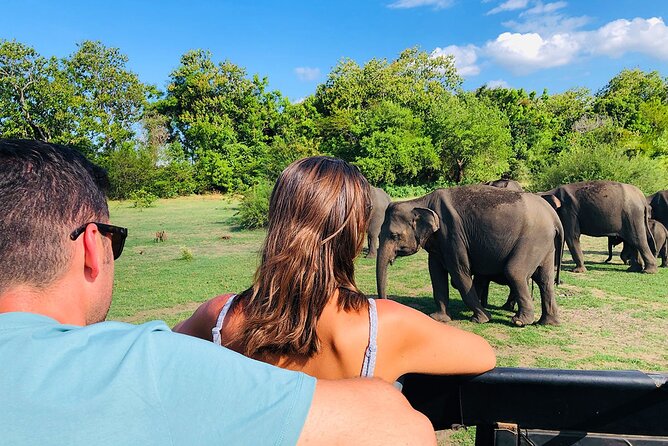 Kaudulla National Park Half Day Private Safari in Sri Lanka - Customer Feedback and Ratings