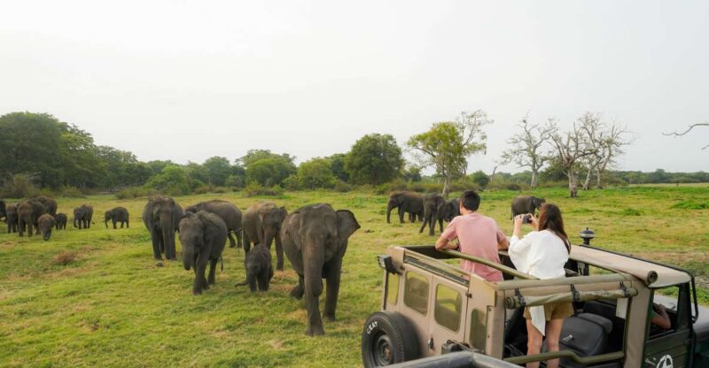 Kaudulla National Park Half Day Sri Lanka Jeep Safari - Key Points