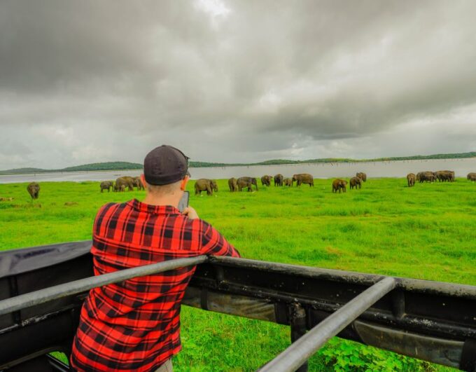 Kaudulla National Park Half Day Sri Lanka Jeep Safari - Recap