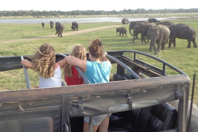 Kaudulla National Park - Private Safari From Habarana - Good To Know