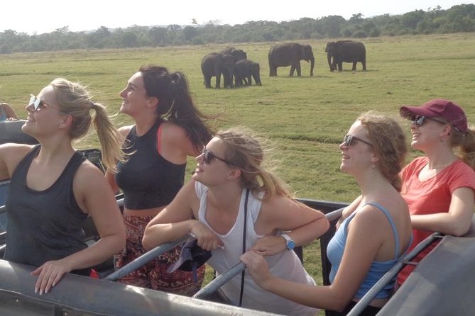 Kaudulla National Park - Private Safari From Habarana - Child Entry Fees