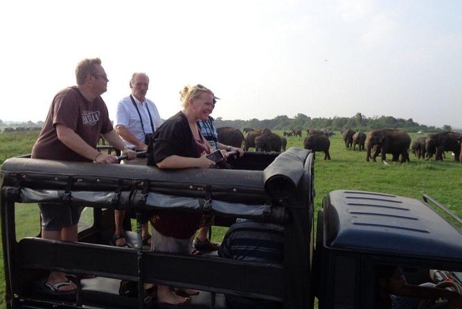 Kaudulla National Park - Private Safari From Habarana - Sum Up