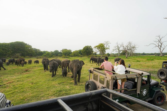 Kaudulla National Park Private Wildlife Safari at Golden Hour - Good To Know