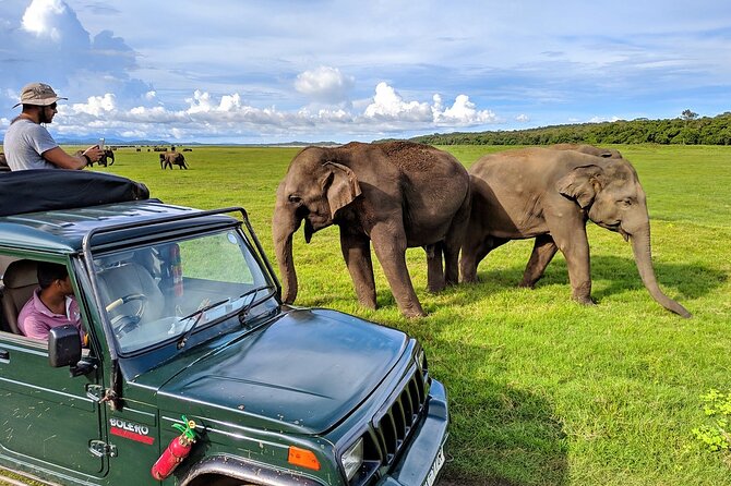 Kaudulla National Park Safari | Jeep With Tickets - Inclusions