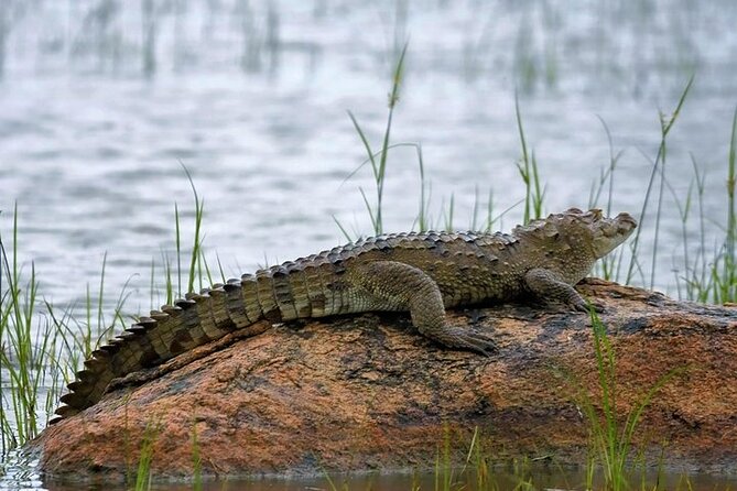 Kaudulla National Park Safari | Jeep With Tickets - Health and Accessibility