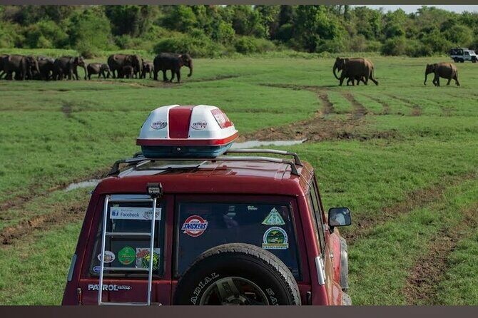 Kaudulla Safari Adventure - FAQ