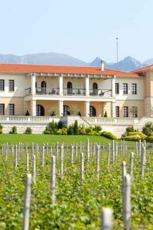 Kavala: VinoTour - Key Points