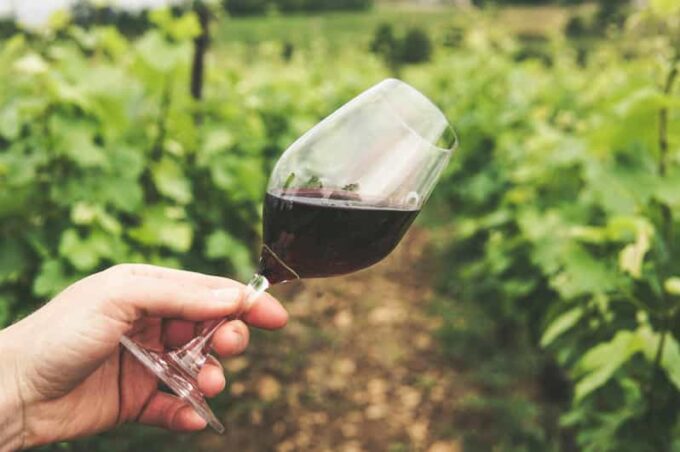 Kavala: VinoTour - Inclusions and Exclusions