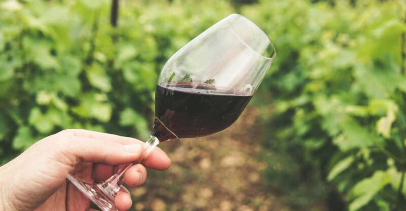 Kavala: VinoTour X-plorer - Itinerary and Activities