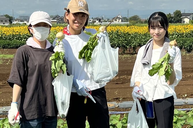 Kawagoe Sightseeing and Experience Tour to Harvest Local Foods - Farming Activities