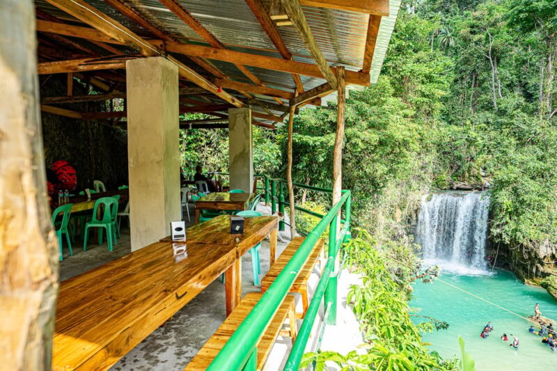 Kawasan Canyoning and Moalboal Sardine Run, Sea Turtles Tour - Key Points