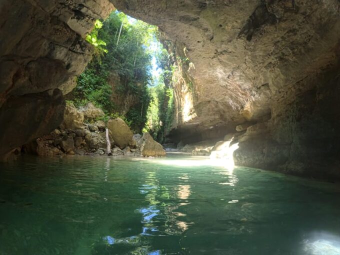 Kawasan Waterfalls Swimming & Moalboal Sardines & Turles - Small Group Size and Guides