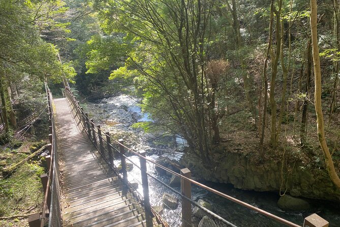 Kawazu Seven Falls Guided Tour - Key Points