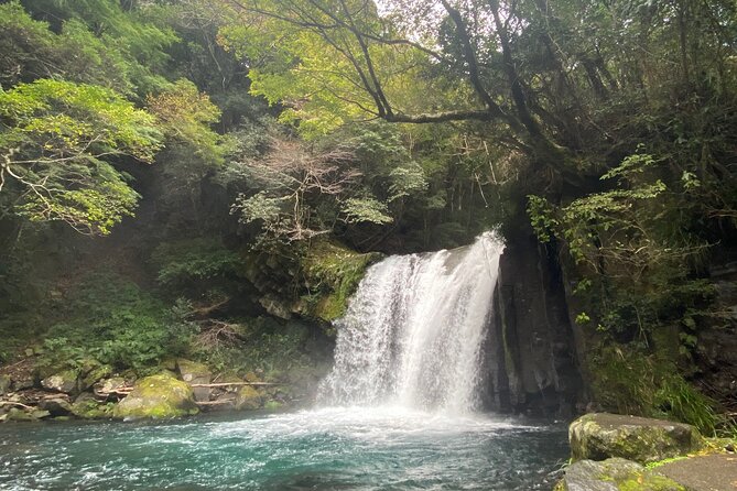 Kawazu Seven Falls Guided Tour - Tour Itinerary and Highlights