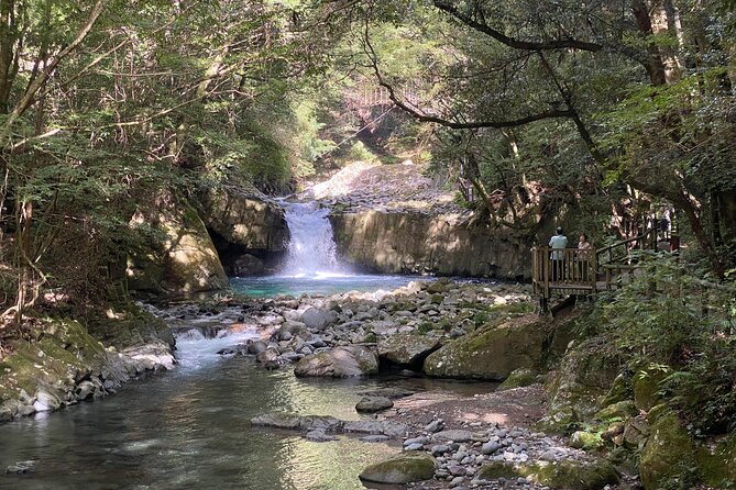 Kawazu Seven Falls Guided Tour - Transportation and Pickup Logistics