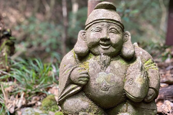 Kawazu Seven Falls Guided Tour - Tour Guide and Experience