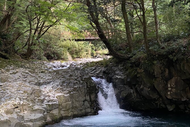 Kawazu Seven Falls Guided Tour - Booking and Cancellation Policy