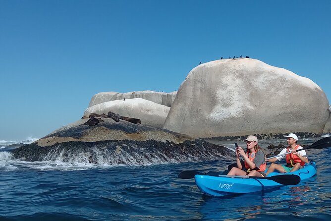 Kayak Adventure at Clifton Beach - Participant Requirements