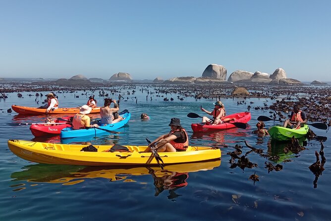 Kayak Adventure at Clifton Beach - Booking and Cancellation Policy