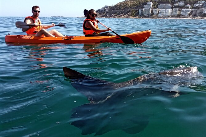 Kayak Adventure at Clifton Beach - Location and Directions