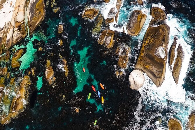 Kayak Adventure at Clifton Beach - Kayaking Experience Reviews