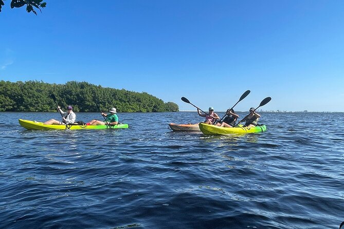 Kayak Adventure at Shell Key Preserve in Tierra Verde - Observing Wildlife and Nature