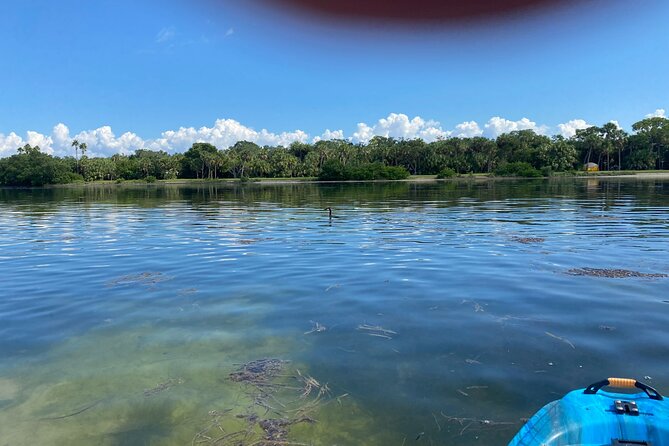 Kayak Adventure at Shell Key Preserve in Tierra Verde - Preparing for the Adventure