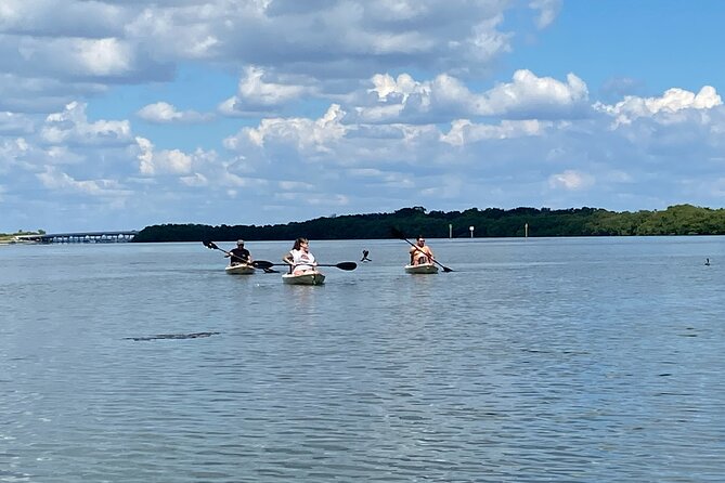 Kayak Adventure at Shell Key Preserve in Tierra Verde - Meeting Point and Directions