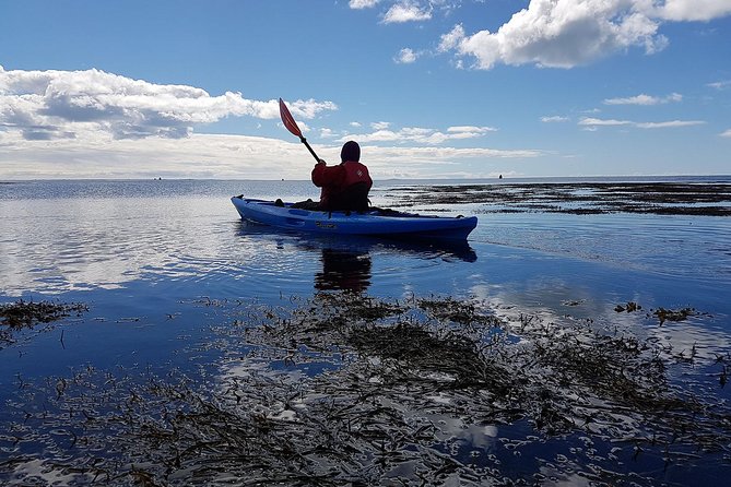 Kayak Adventure - Quick Points