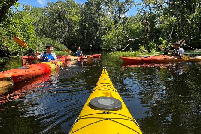 Kayak Adventure, Deep Creek - Sunset and Night Paddles