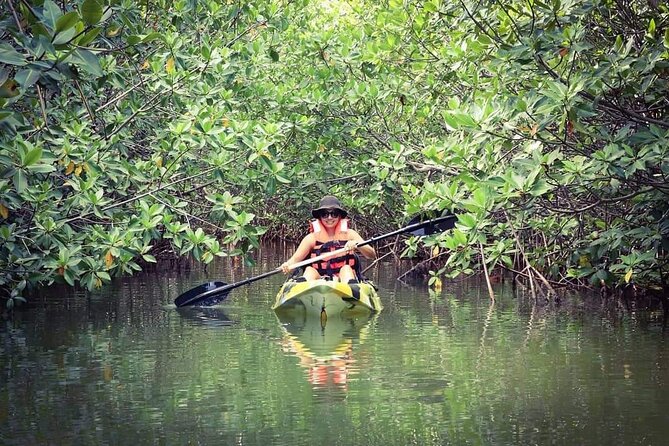 Kayak Adventure in Cancun - Highlights and Activities