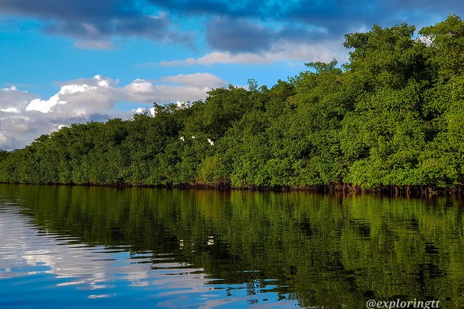 Kayak Adventure in the Second Largest Swamp of Trinidad and Tobago - Tour Inclusions and Pricing Information