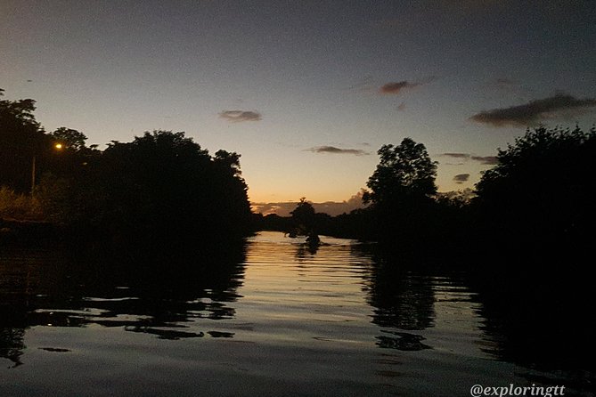 Kayak Adventure in the Second Largest Swamp of Trinidad and Tobago - Positive Guest Experiences and Recommendations