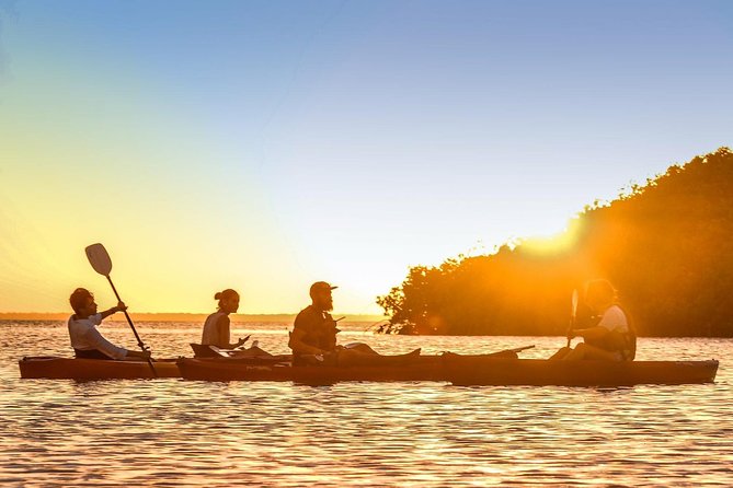 Kayak Adventure Through Laguna Nichupte in Cancun - Meeting Point and Accessibility