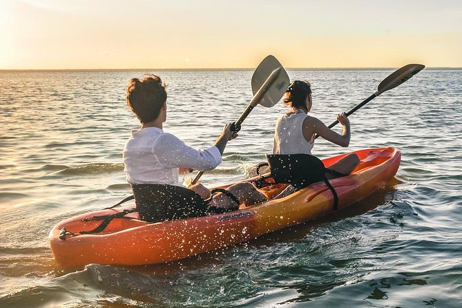 Kayak Adventure Through Laguna Nichupte in Cancun - Important Considerations for Travelers