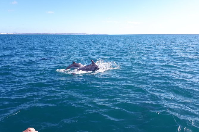 Kayak Algarve Tour BENAGIL by Diamond Tours - Customer Feedback