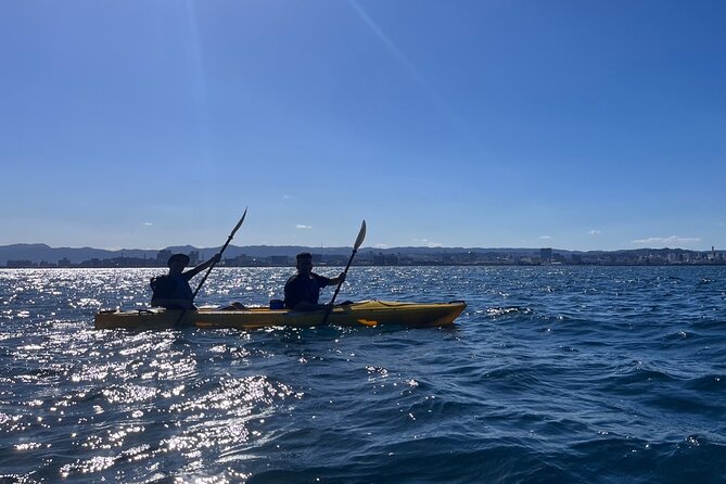 Kayak and Picnic Adventure in Sakurajima - Cancellation and Refund Policy