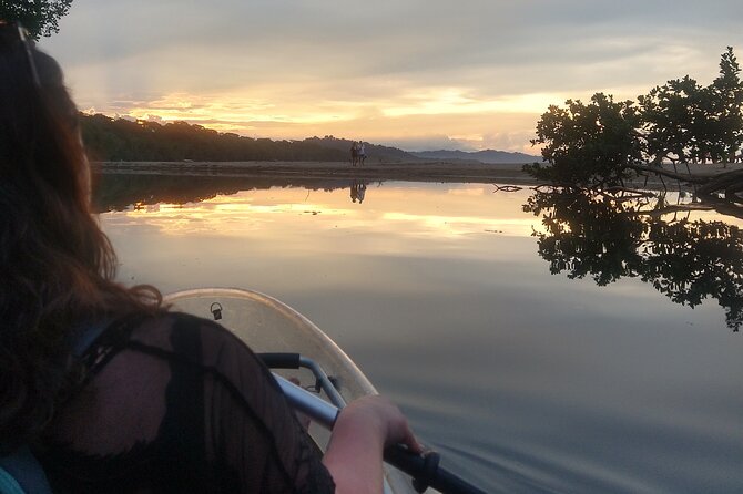 Kayak and Sloth Watching Tour. - Tour Overview
