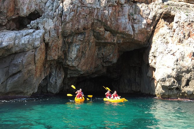 Kayak and Snorkel Excursion to Cova Tallada - Marine Flora and Fauna
