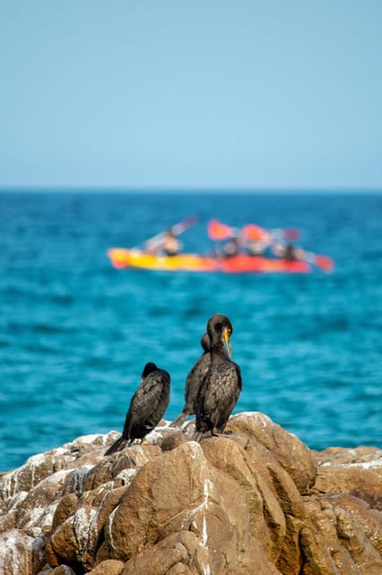 Kayak and Snorkel in Playa De Aro, Costa Brava - Activity Itinerary