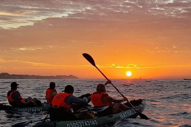 Kayak and Snorkel Tour at Pelican Rock - Included Equipment and Provisions