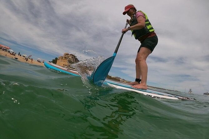 Kayak and Snorkel Tour at Pelican Rock - Accessibility and Requirements
