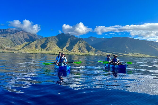 Kayak and Snorkel @ Turtle Town With Optional Photo - Key Points