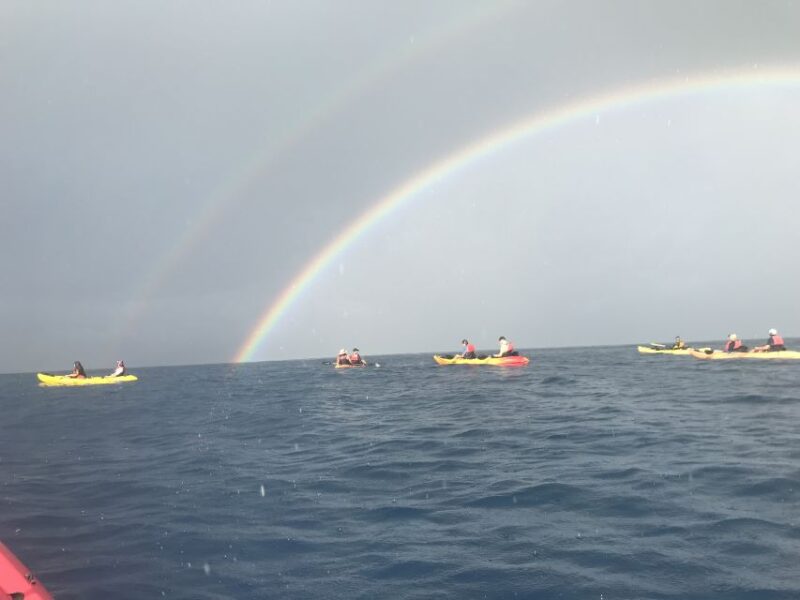 Kayak and Snorkel West Maui at Olowalu - Kayaking in Turtle Reef