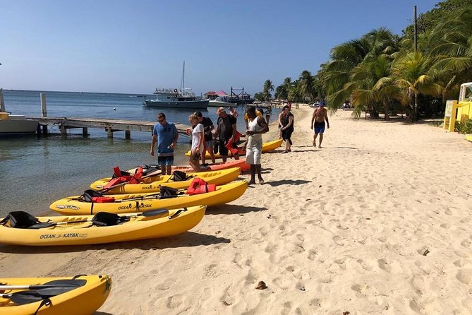 Kayak and Snorkeling Adventures in West End - Key Points