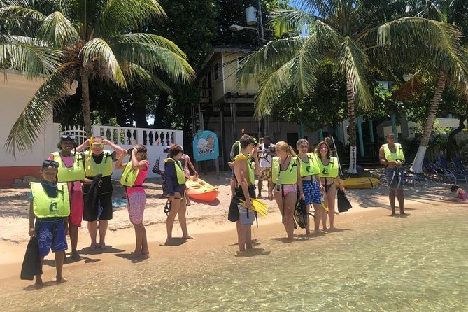 Kayak and Snorkeling Adventures in West End - Kayaking Through Mangroves