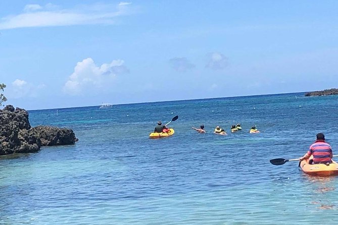 Kayak and Snorkeling Adventures in West End - Snorkeling Highlights