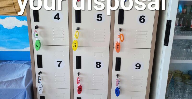 Kayak and Stand-Up Paddle Rental Transparent - Key Points