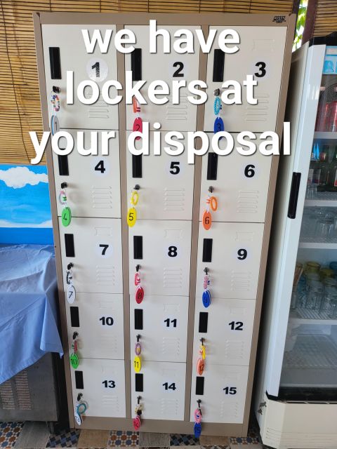 Kayak and Stand-Up Paddle Rental Transparent - Experience Highlights