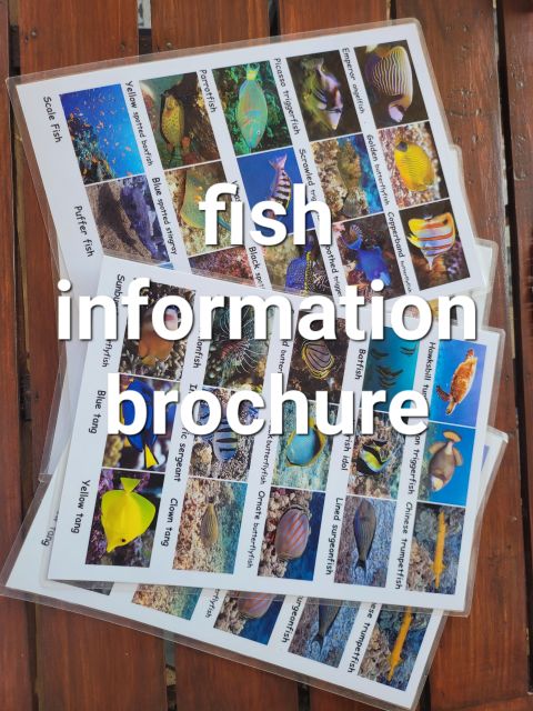 Kayak and Stand-Up Paddle Rental Transparent - Location and Amenities